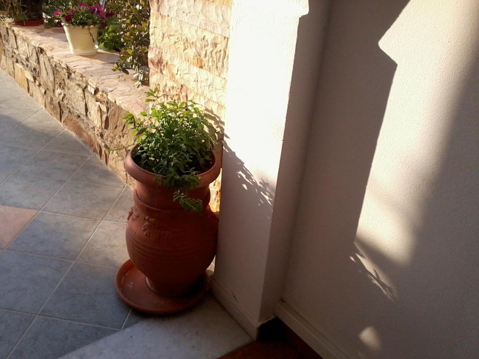 Acti Plaka Hotel Exterior photo